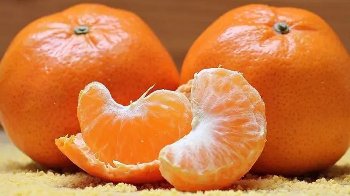ऐसे लोगों को भूल से भी नहीं खाना चाहिए संतरा, बढ़ सकती है परेशानी