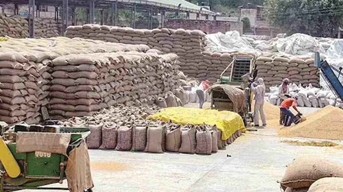 भारत सरकार ने तत्काल प्रभाव से गेहूं के निर्यात पर लगाया प्रतिबंध