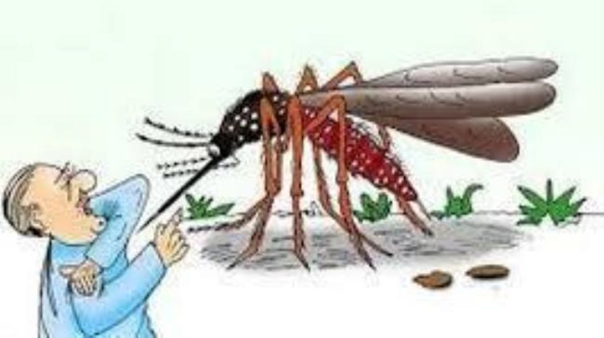 मलेरिया से बचने के लिए अपनाएं ये उपाय, जानें लक्षण