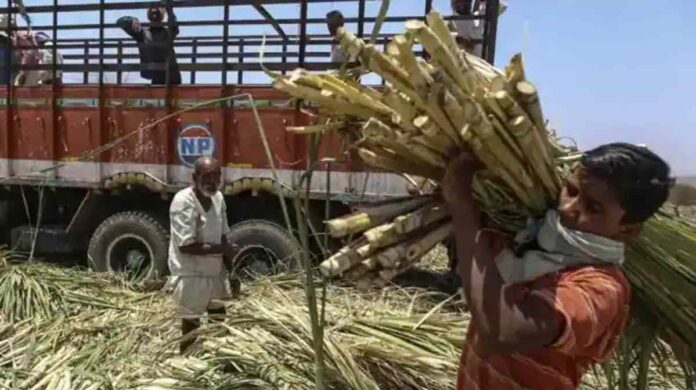 sugarcane price fixed