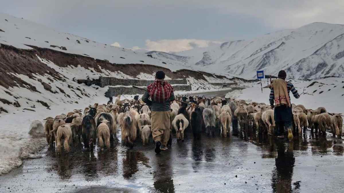 Jammu-Kashmir Assembly Elections