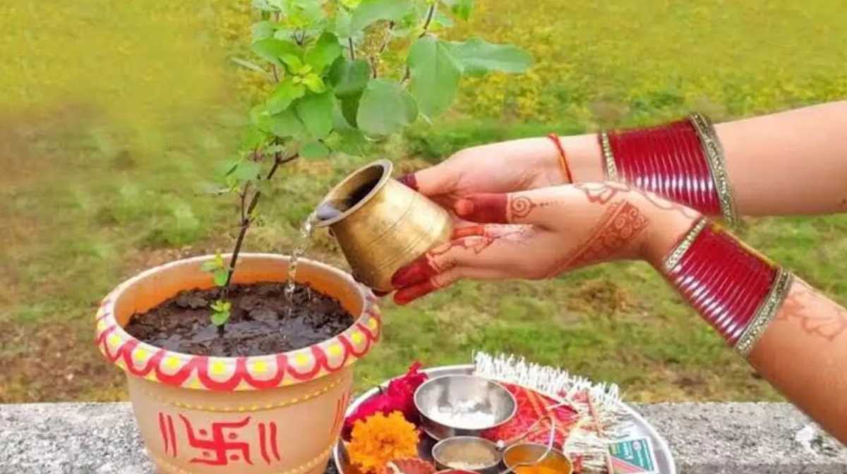 Tulsi Pujan: तुलसी केवल एक पौधा नहीं है