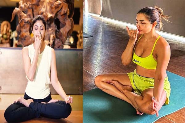 shilpa-malaika-yog