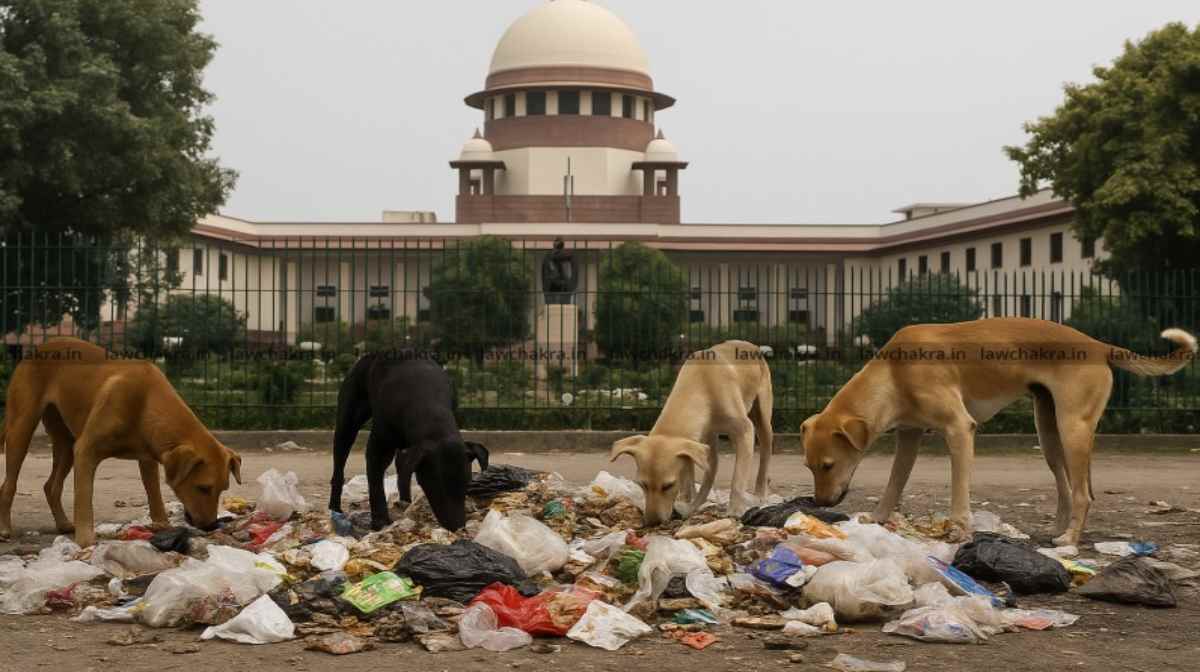 Supreme Court and Dog