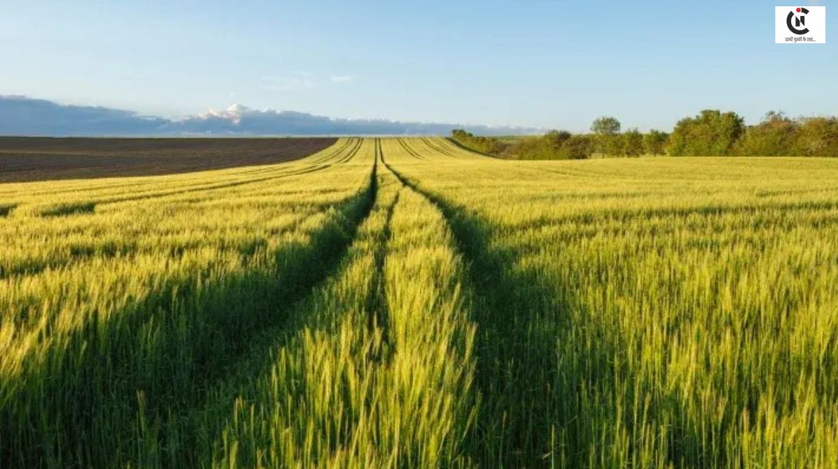 Poetry: प्रकृति हमें देती है सब कुछ