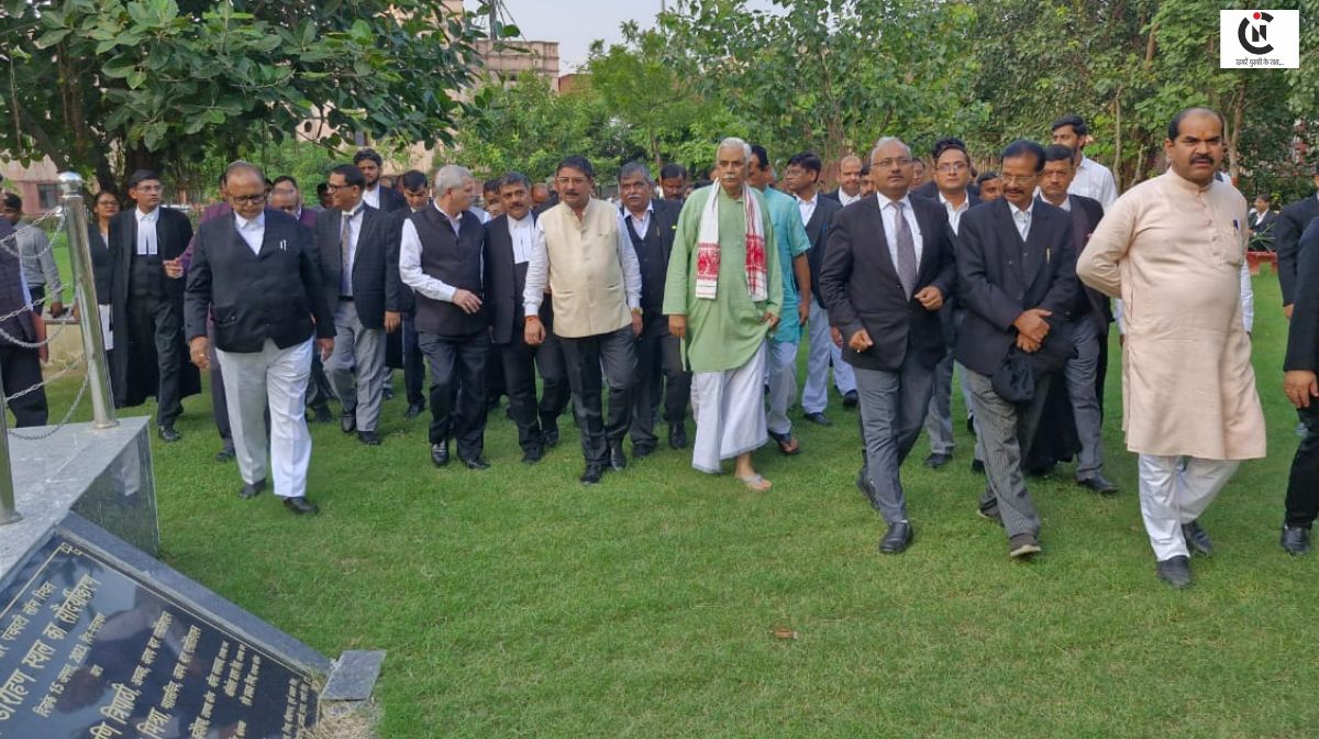Plantation in Lucknow High Court