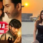 यादव जी की लव स्टोरी पर संभल में भड़की सियासत, समुदाय ने जलाए पोस्टर