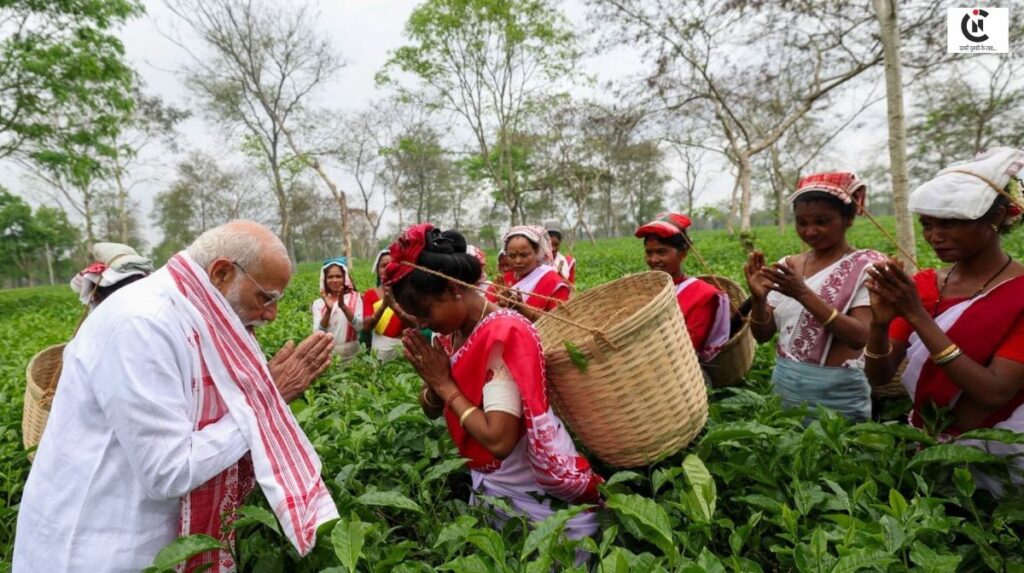 pm modi assam tea garden