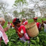 पीएम मोदी ने चाय बागान में तोड़ी पत्तियां, महिलाओं संग ली सेल्फी, बोले- असम की आत्मा है चाय