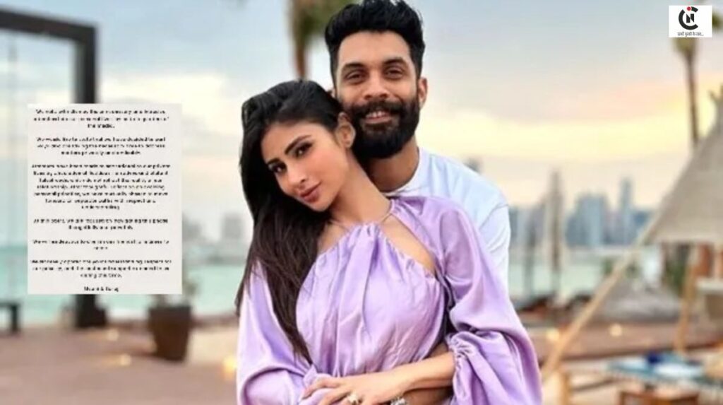mouni roy divorce