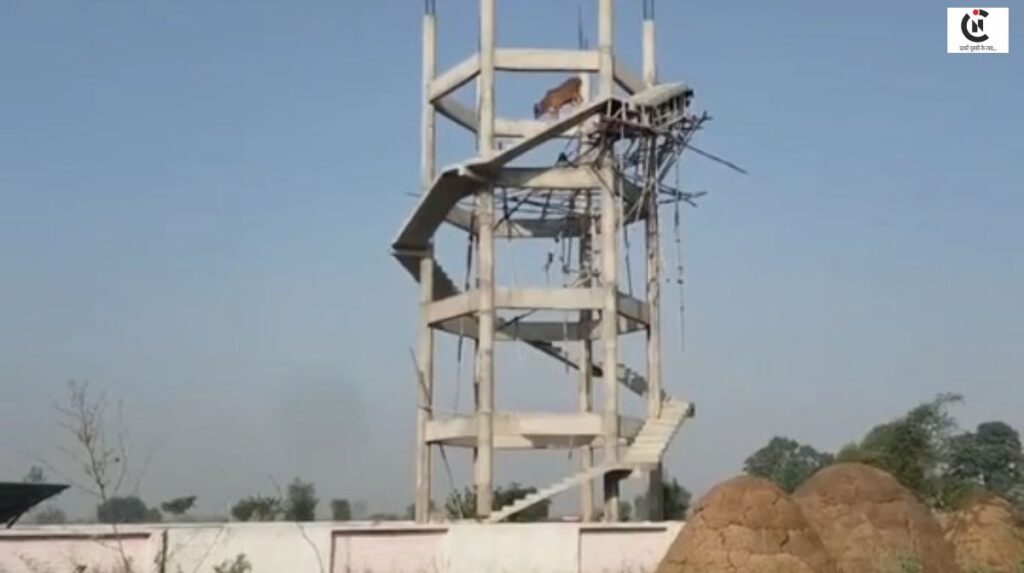 budaun news bull climbed water tank