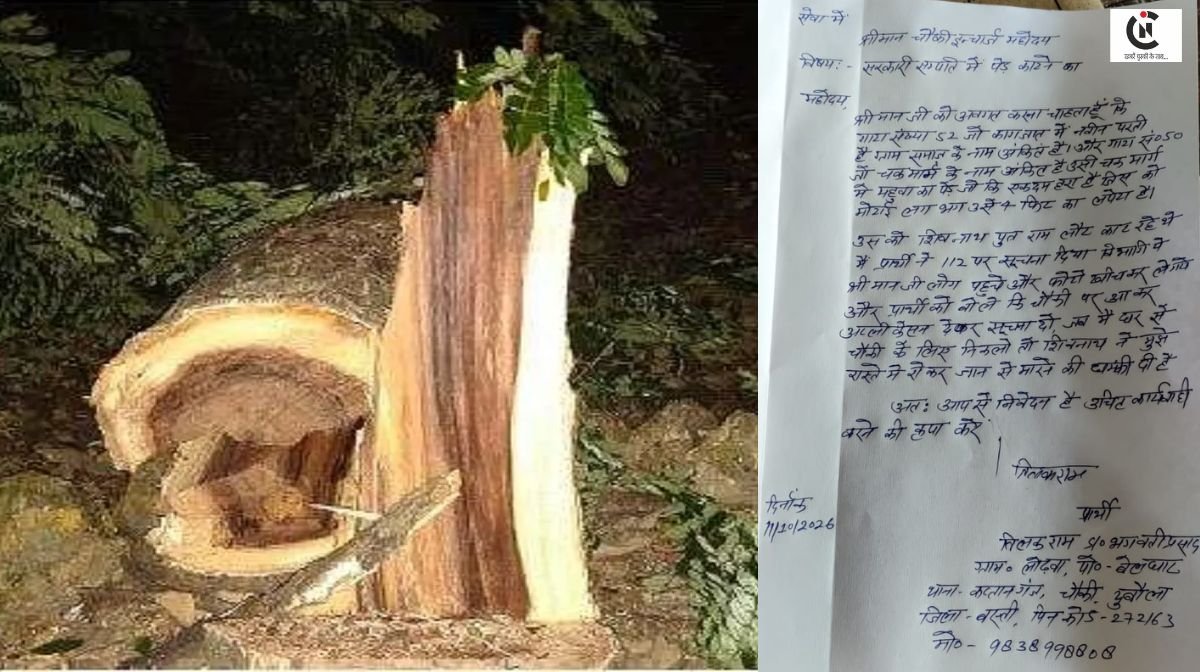 Green Mahua Tree Cut Basti